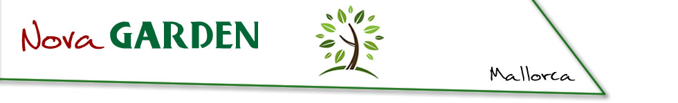 ibserveis_home